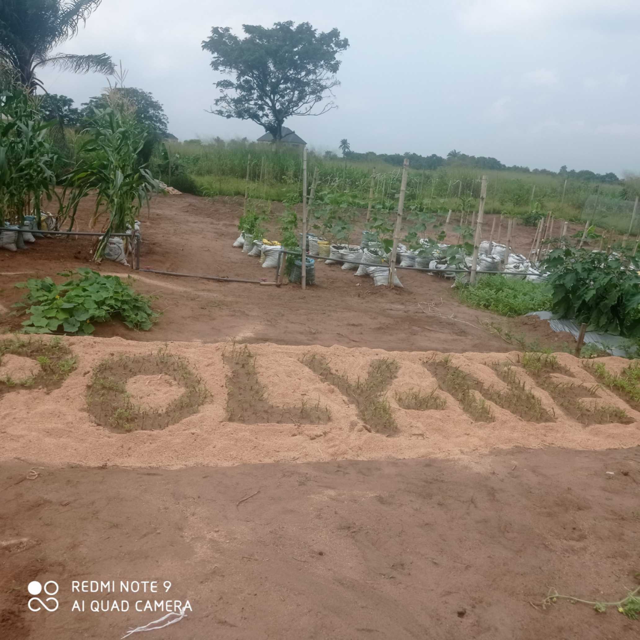 Farmers during training session