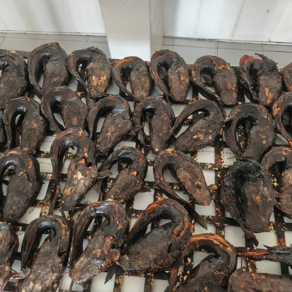 Youth & Women Training Session